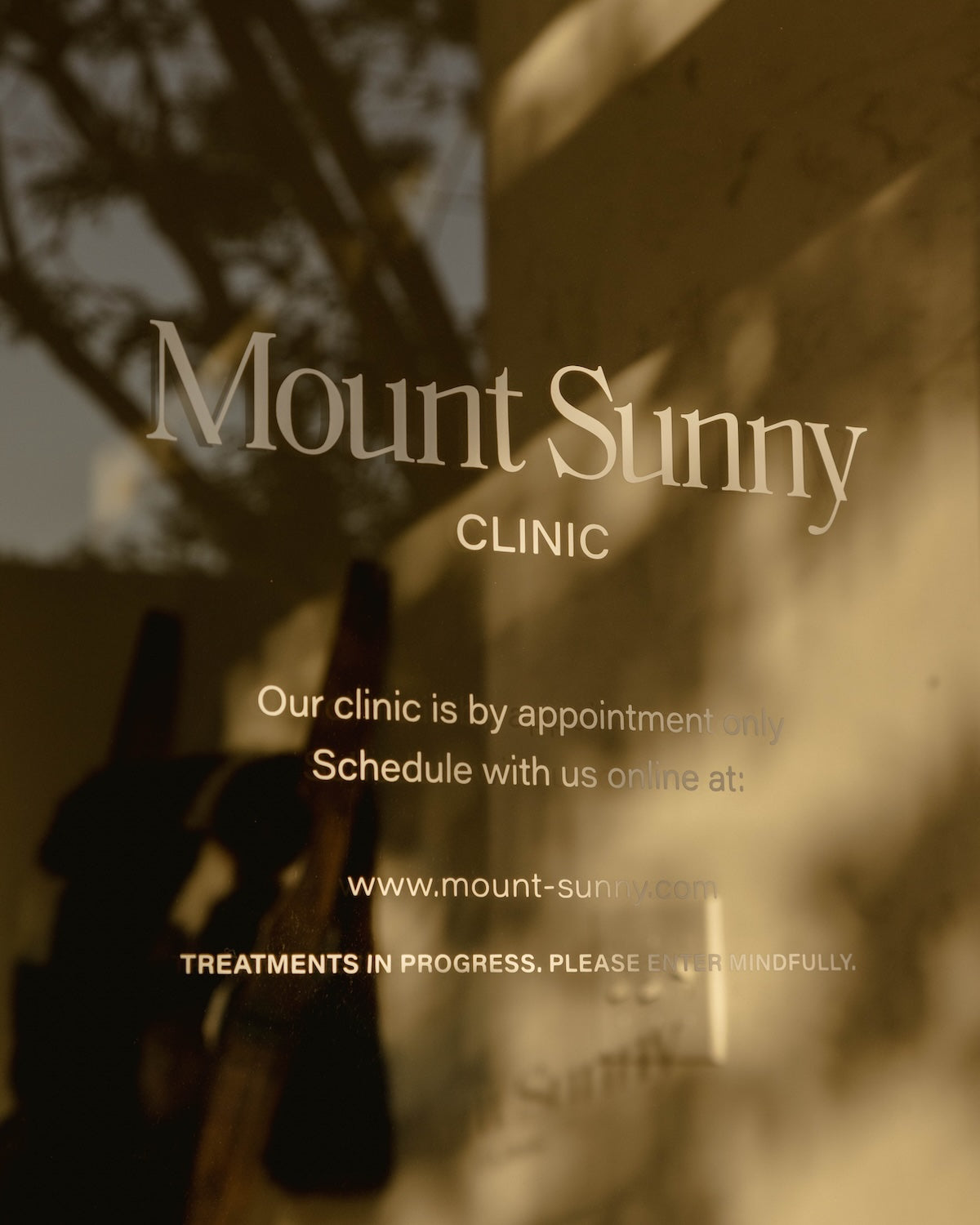 Acupuncture Near Arcadia and Midtown Phoenix: What to Expect at Mount Sunny