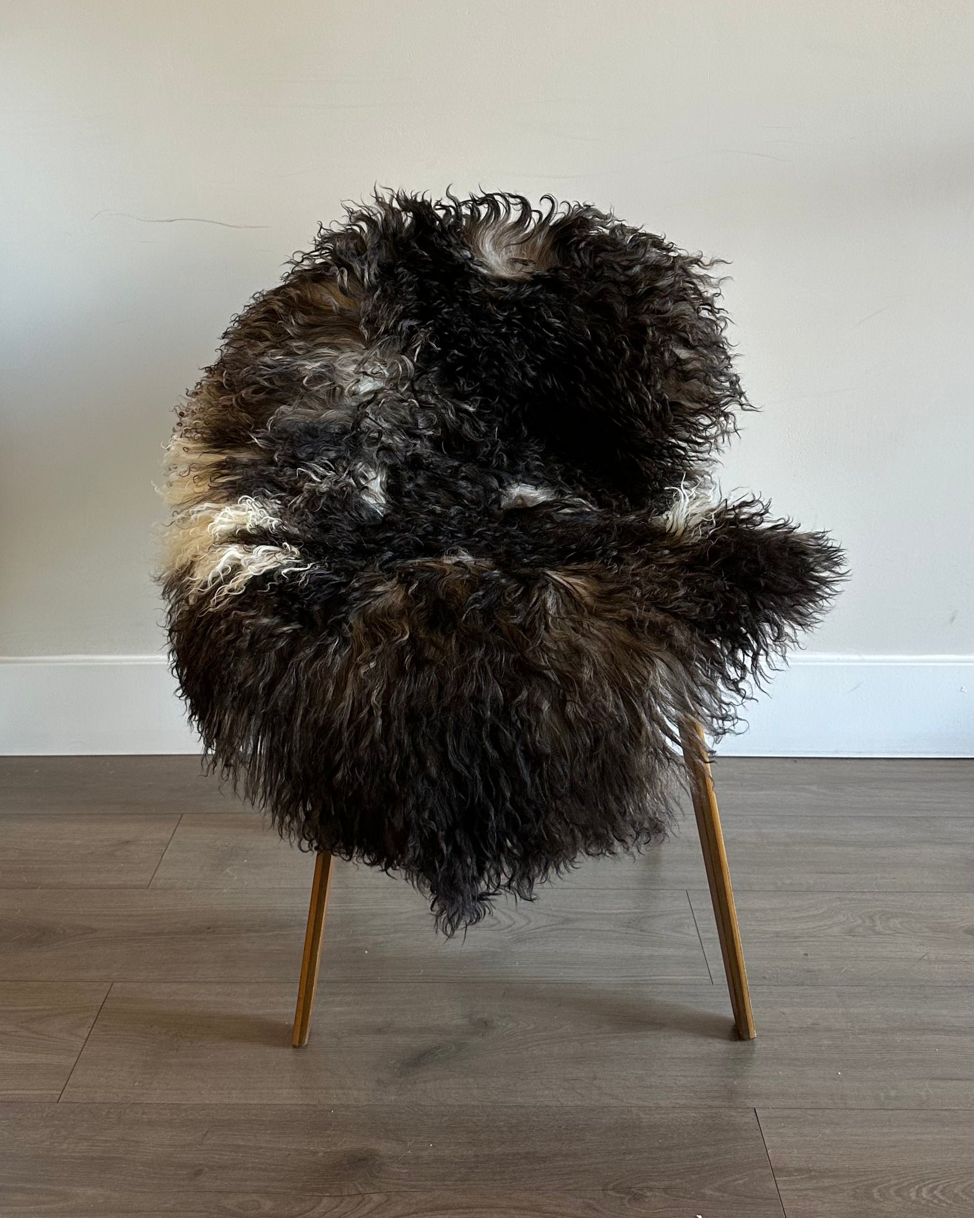 Austrian Sheepskin - Curly Coat