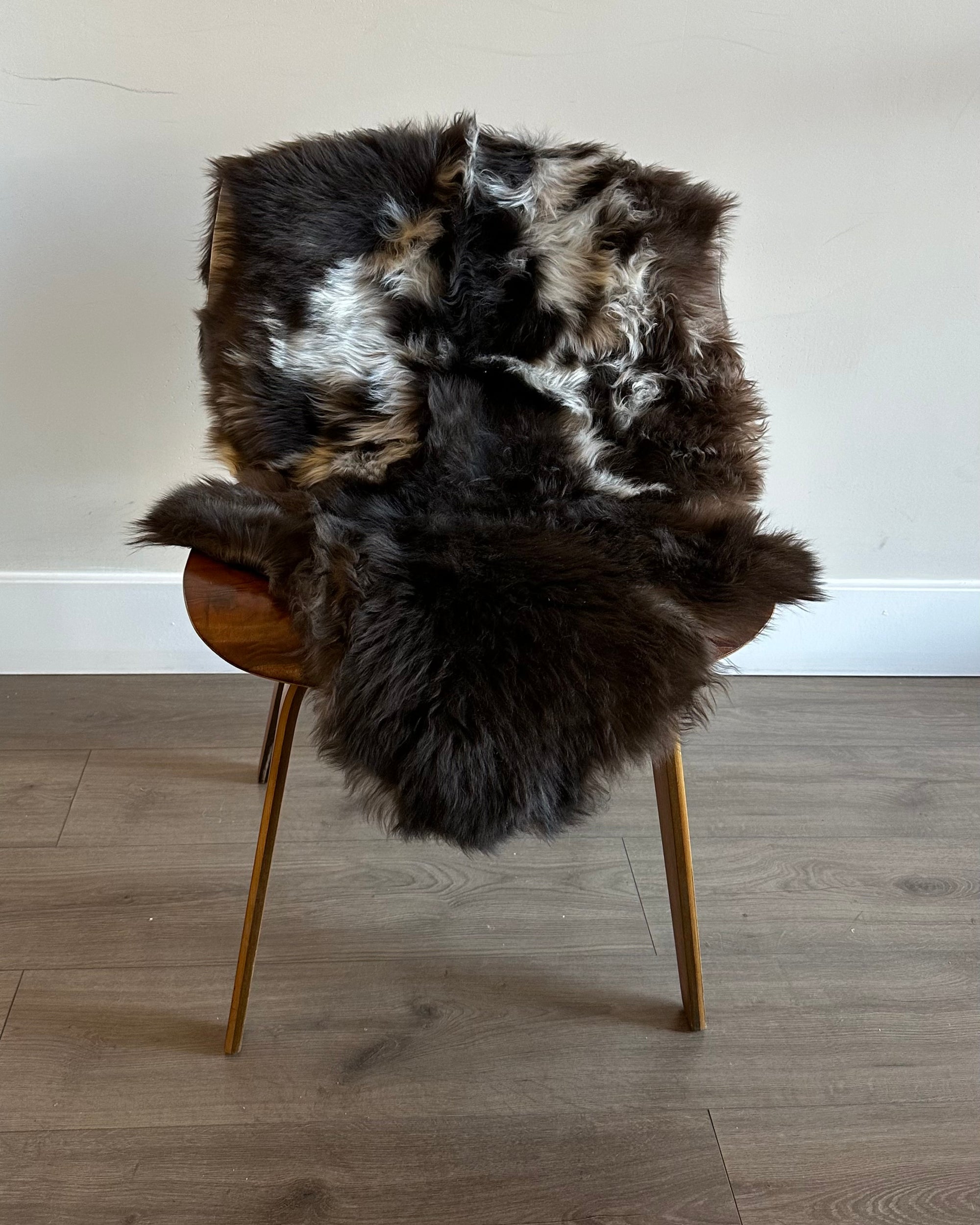 Dutch Texel Sheepskin - Medium